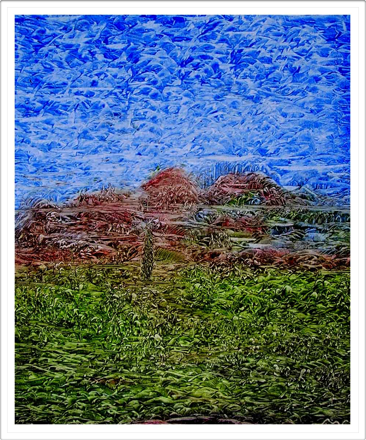 SCENIC BROOK STATES AUSTIN TEXAS